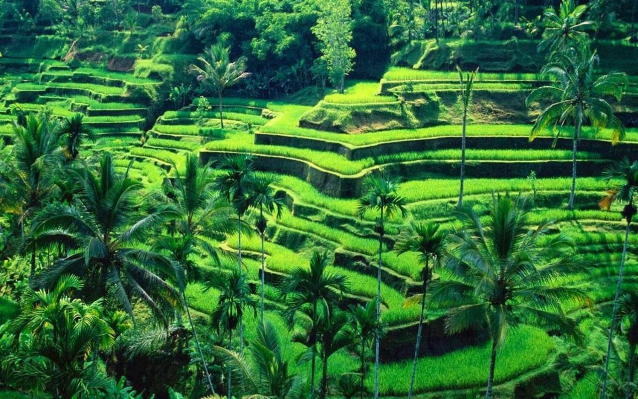 Ubud River Campuhan Villa Экстерьер фото